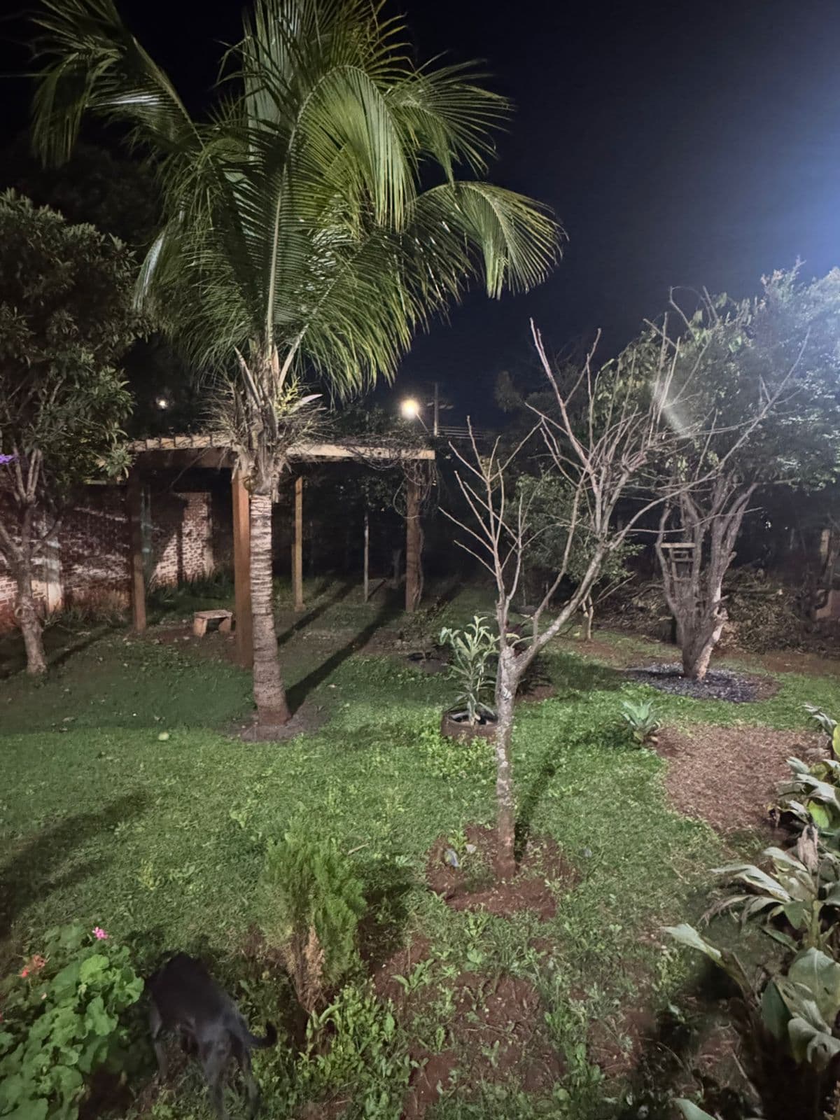 Jardim e quintal arborizado do CJV ao anoitecer, no Jardim Shangri-lá